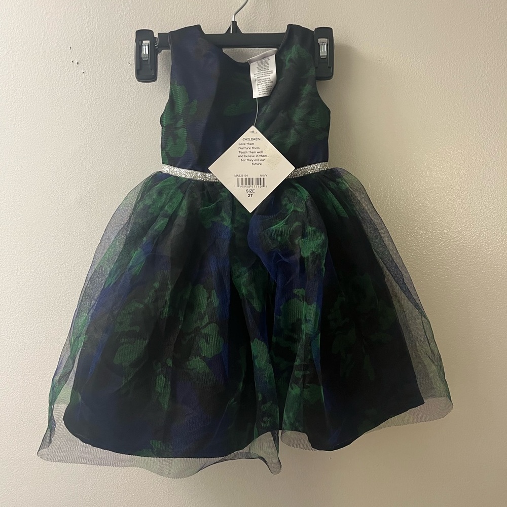 BlueBeri Boulevard Blueberries Boulevard Social Dress Girl’s Size 2T